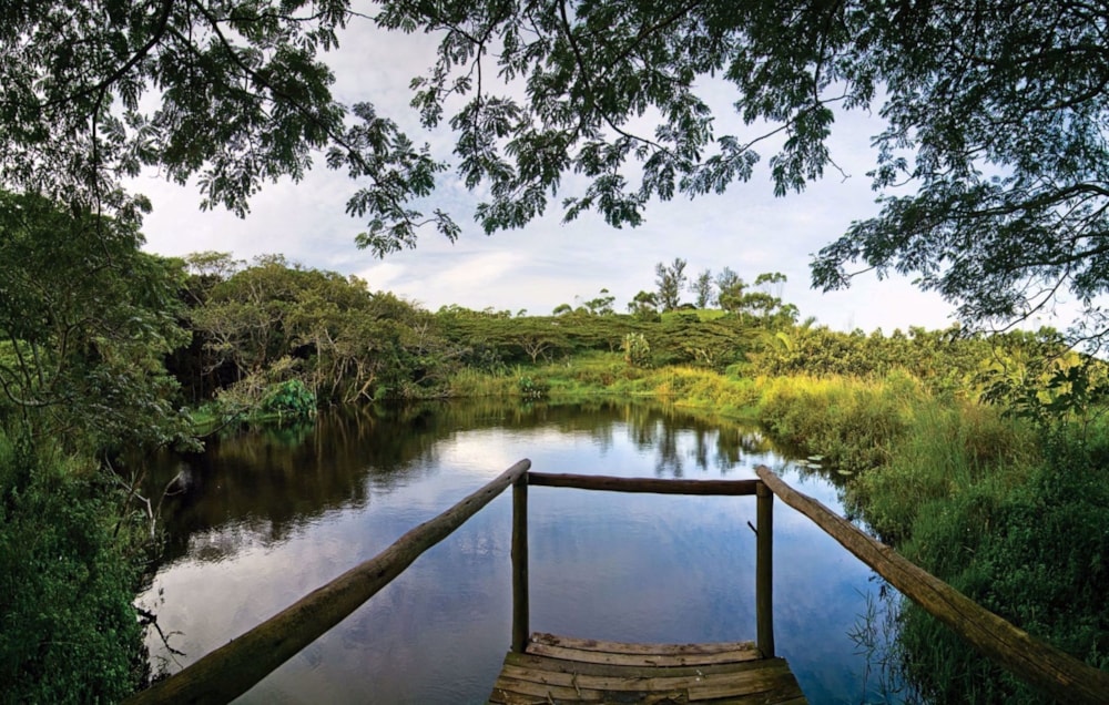 Residential vacant land for sale in Elaleni Coastal Forest Estate - 1BD1655202