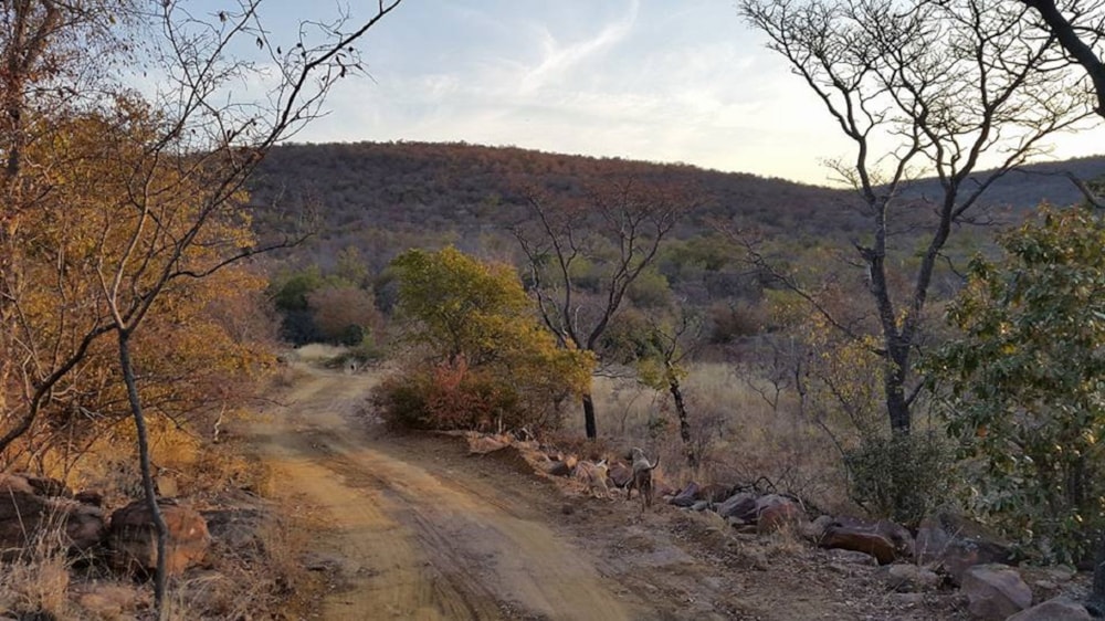 Mixed use farm for sale in Vaalwater - 1ER1654842 Mixed use farm for sale in Vaalwater - 1ER1654842