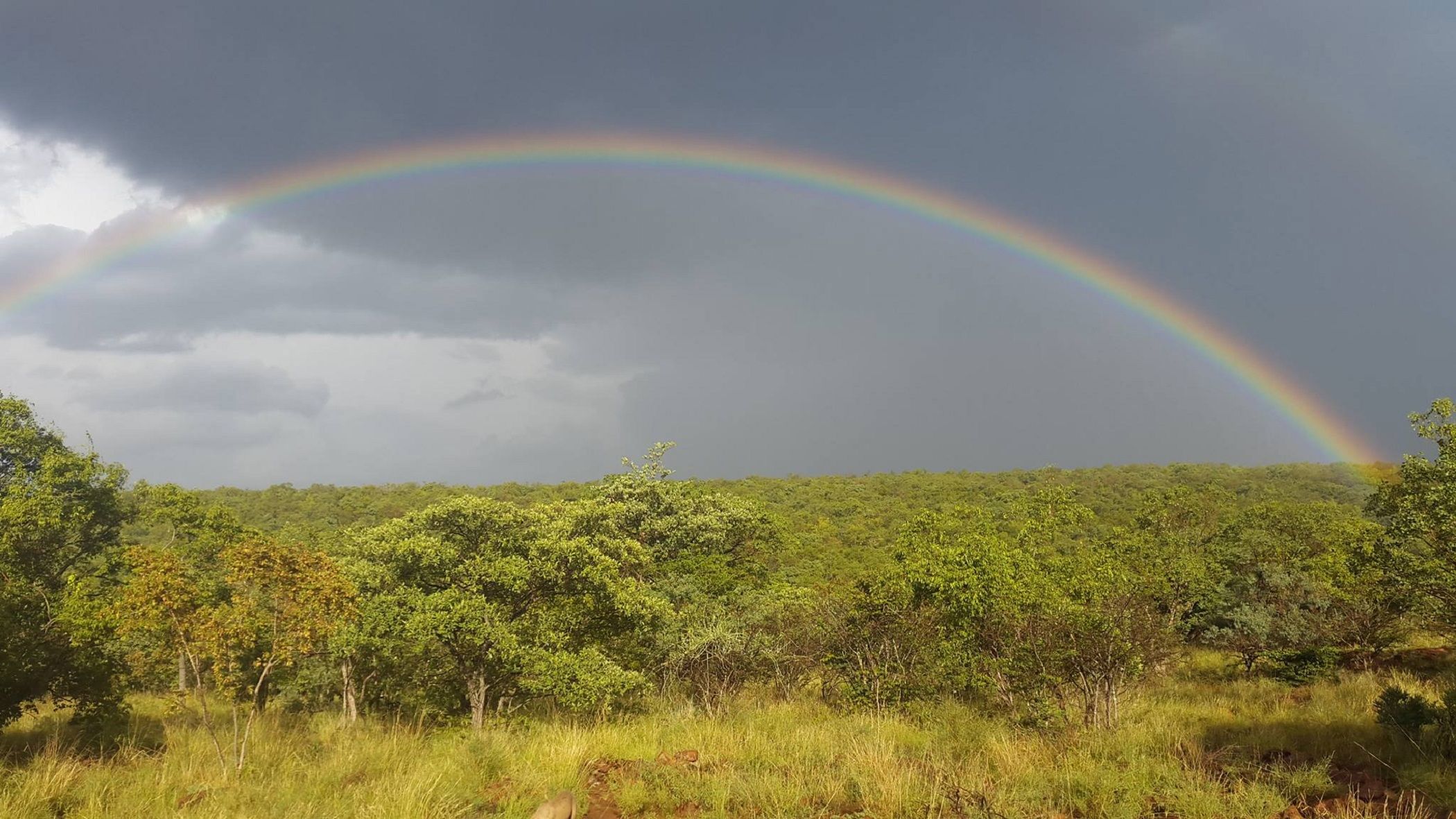 Mixed use farm for sale in Vaalwater - 1ER1654842