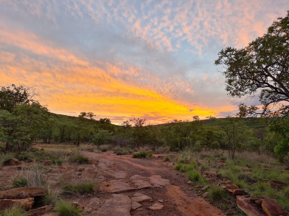 Mixed use farm for sale in Vaalwater - 1ER1654842 Mixed use farm for sale in Vaalwater - 1ER1654842