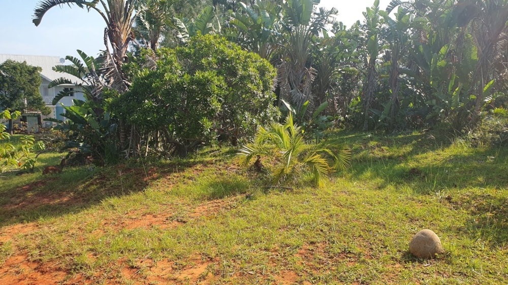 Residential vacant land for sale in Port Edward - 1PD1654857
