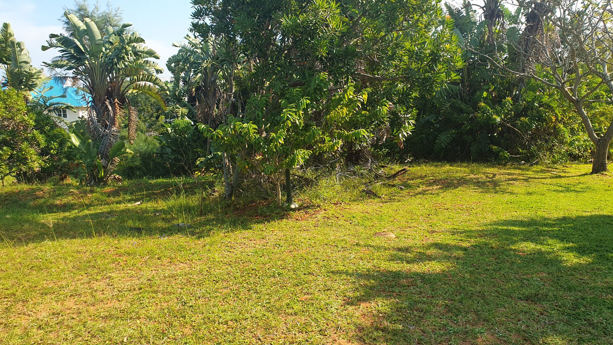 Residential vacant land for sale in Port Edward - 1PD1654857