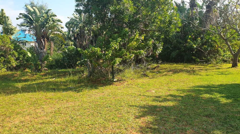 Residential vacant land for sale in Port Edward - 1PD1654857