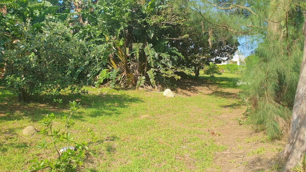 Residential vacant land for sale in Port Edward - 1PD1654857