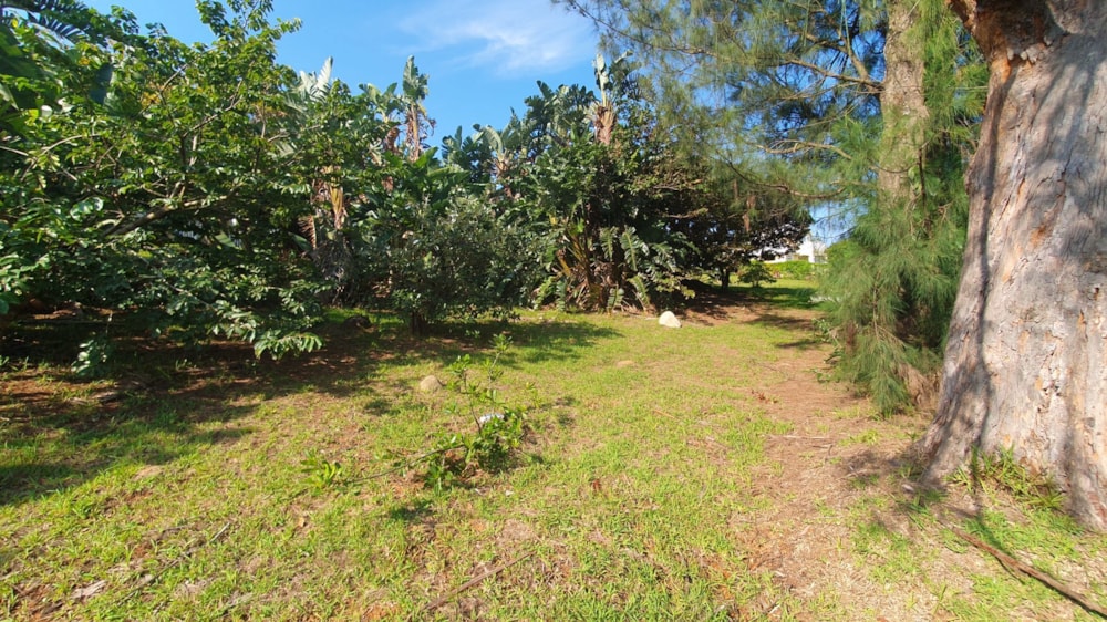Residential vacant land for sale in Port Edward - 1PD1654857