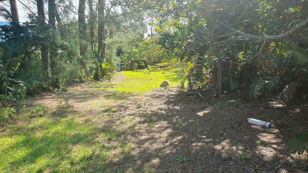 Residential vacant land for sale in Port Edward - 1PD1654857