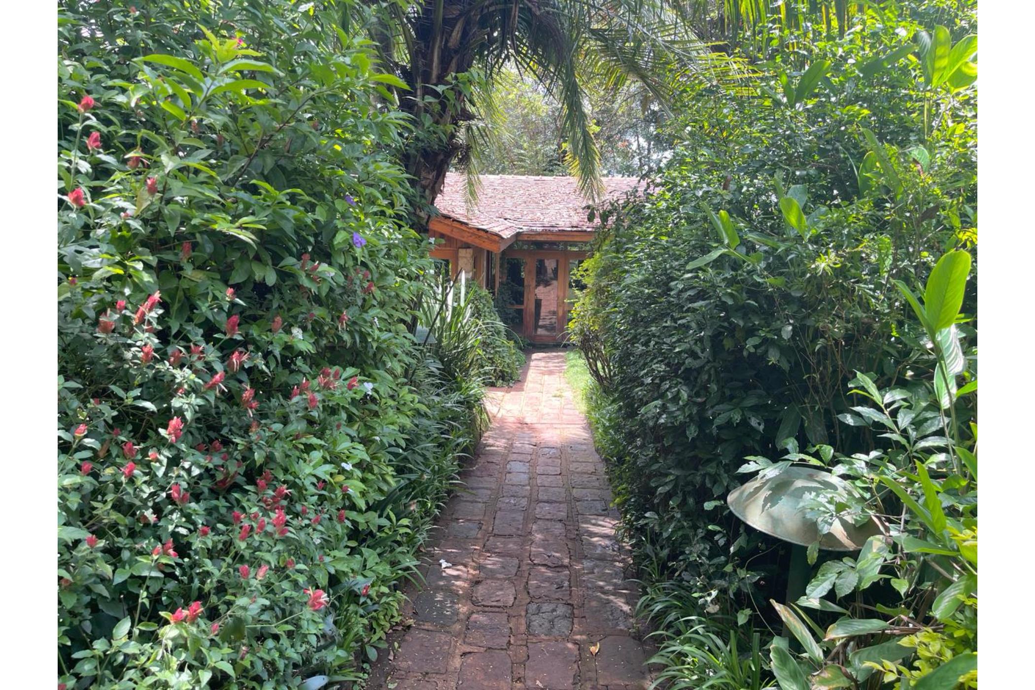 House let in Kyuna , Kenya - 3KE1704694