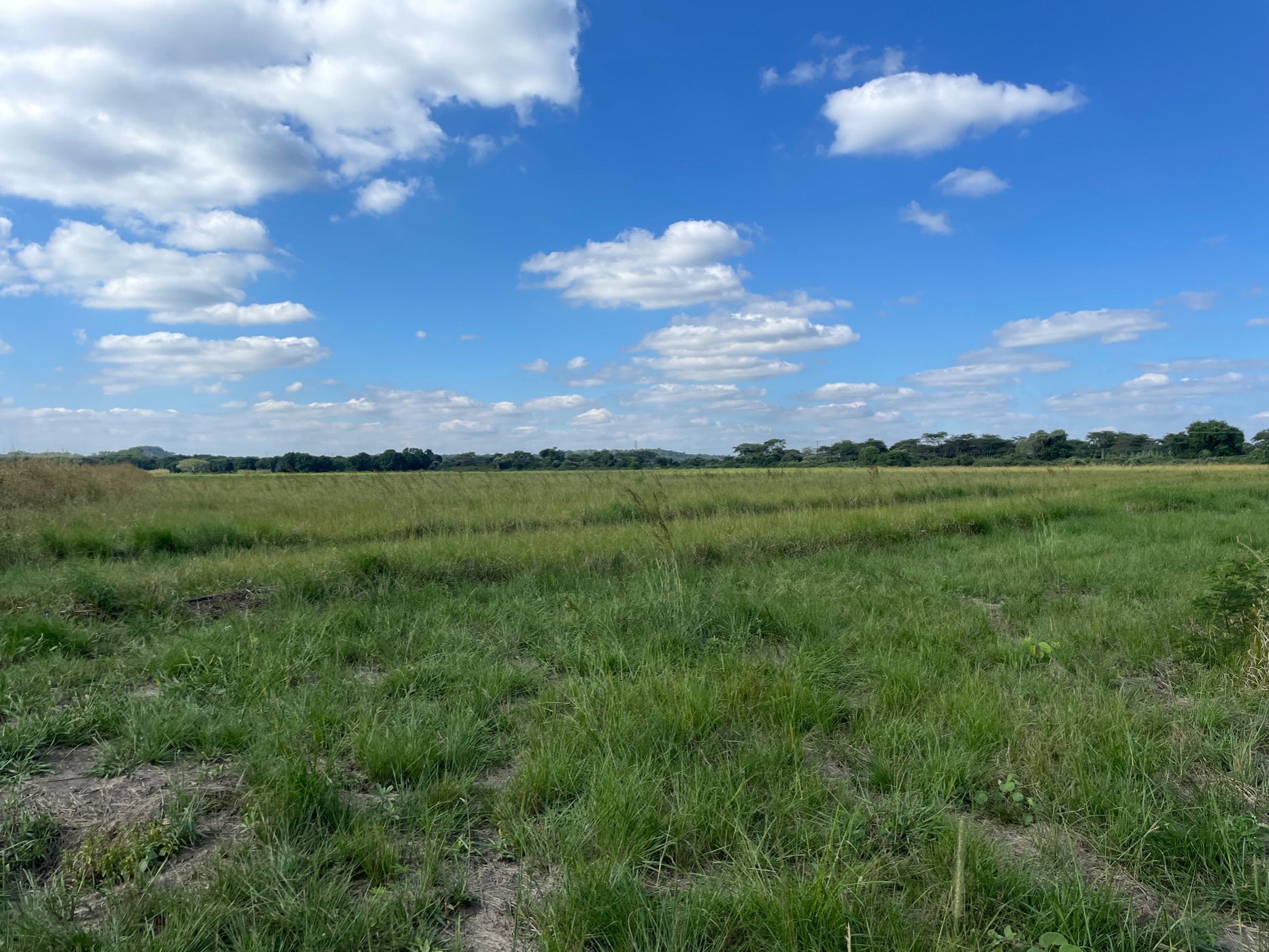 Vacant land for sale in Makeni, Zambia - 3ZA1686037