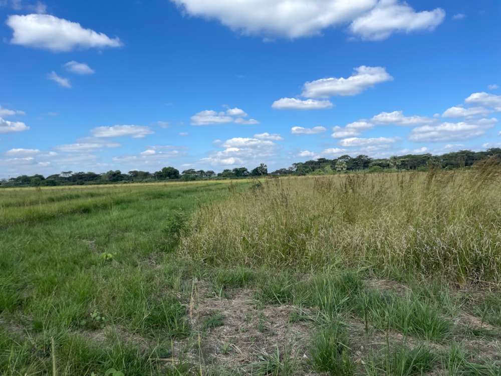 Vacant land for sale in Makeni, Zambia - 3ZA1686037