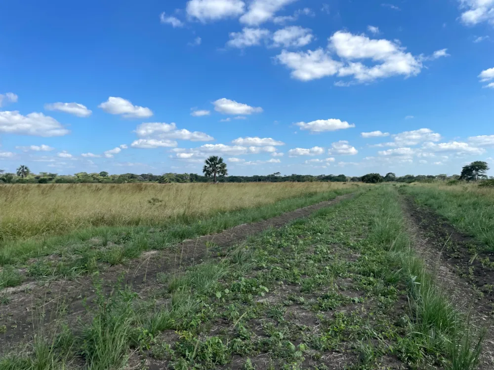 Vacant land for sale in Makeni, Zambia - 3ZA1686037