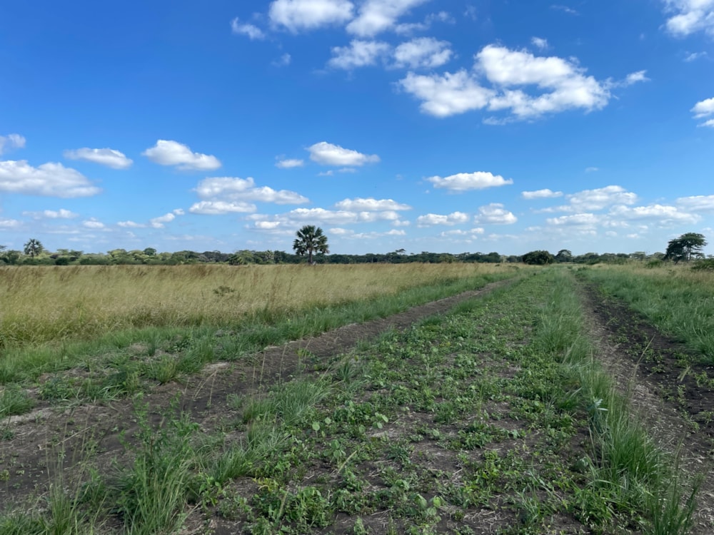 Vacant land for sale in Makeni, Zambia - 3ZA1686037