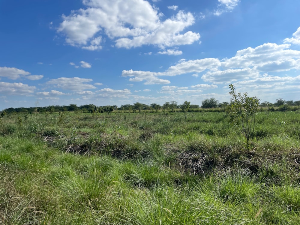 Vacant land for sale in Makeni, Zambia - 3ZA1686037