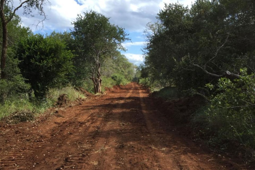 Game farm for sale in Vilanculos, Mozambique - 3MQ1655191
