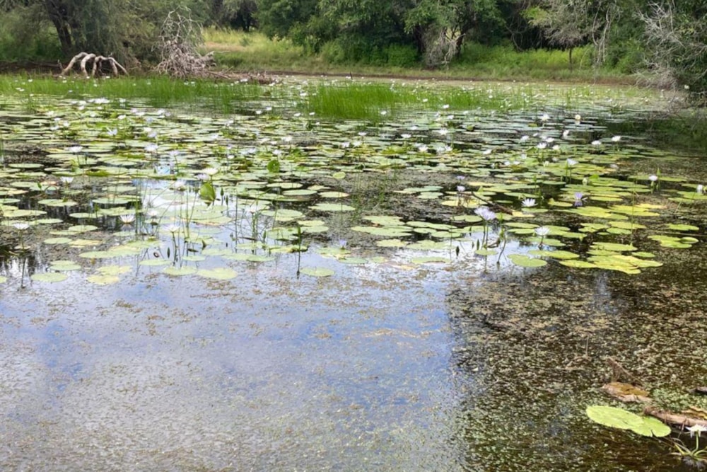 Game farm for sale in Vilanculos, Mozambique - 3MQ1655191