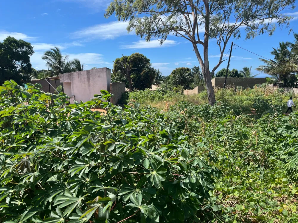 Vacant land for investment in Pemba, Cabo Delgado, Mozambique - 3MQ1655584