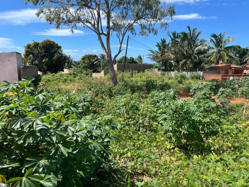 Vacant land for investment in Pemba, Cabo Delgado, Mozambique - 3MQ1655584