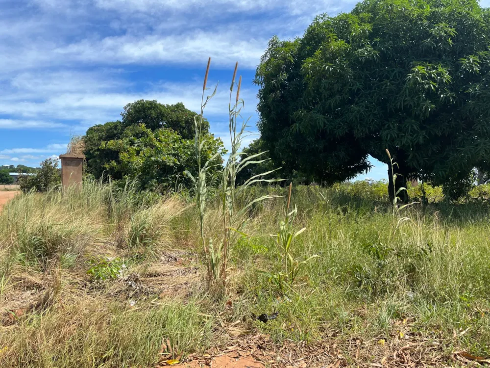 Vacant land for investment in Pemba, Cabo Delgado, Mozambique - 3MQ1655594