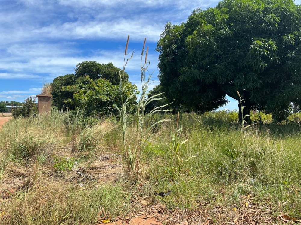 Vacant land for investment in Pemba, Cabo Delgado, Mozambique - 3MQ1655594