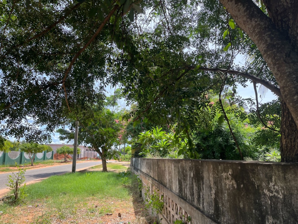 House for sale in Pemba, Cabo Delgado, Mozambique - 3MQ1655693