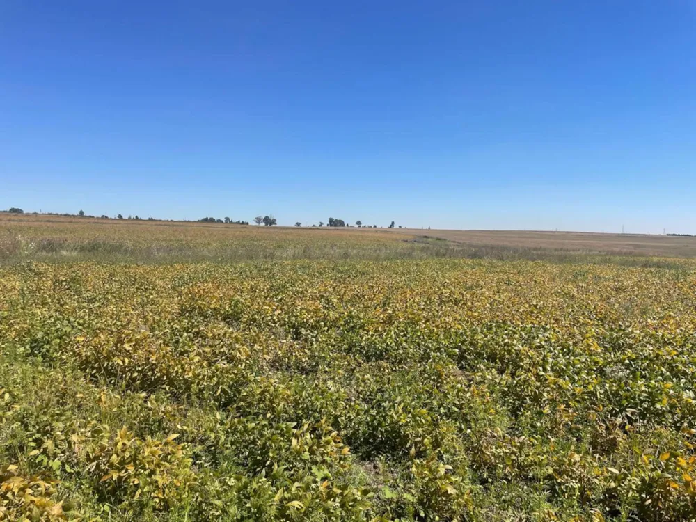 Mixed use farm for sale in Belfast Rural - 1DS1656641