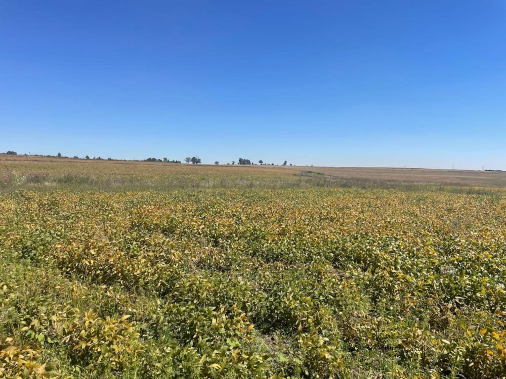 Mixed use farm for sale in Belfast Rural - 1DS1656641