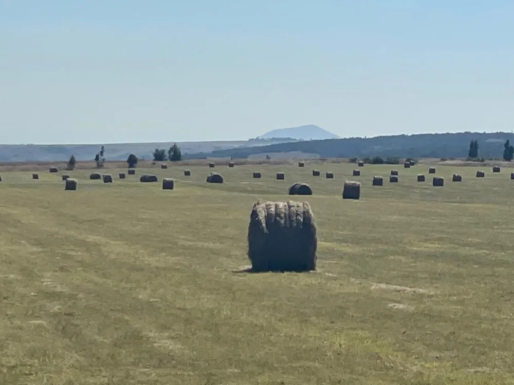 Mixed use farm for sale in Belfast Rural - 1DS1656641