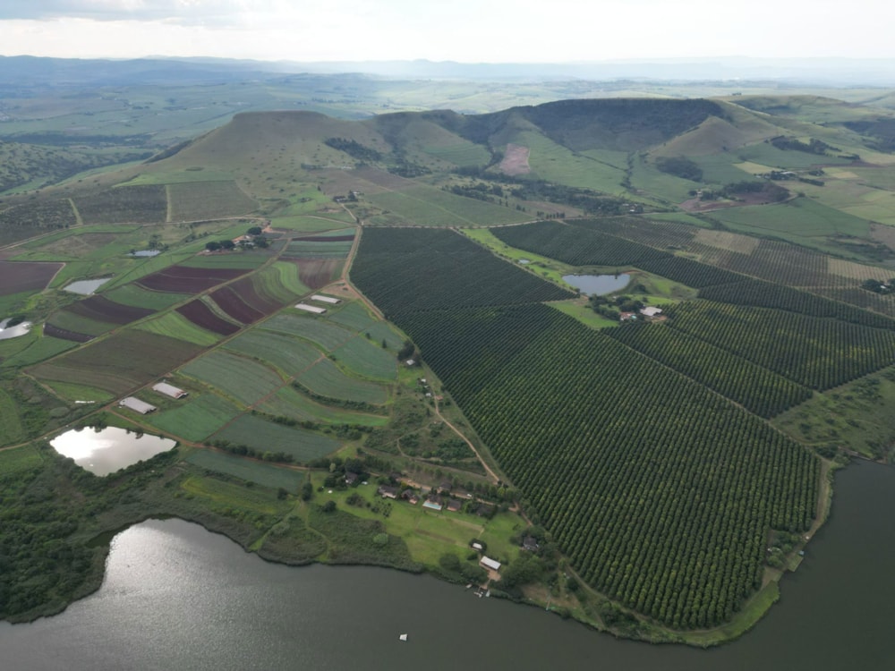 Vacant land sold in Camperdown - 1PM1655815