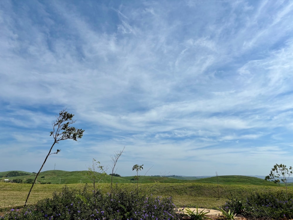 Townhouse sold in Sibaya - 1ND1656299 Townhouse sold in Sibaya - 1ND1656299