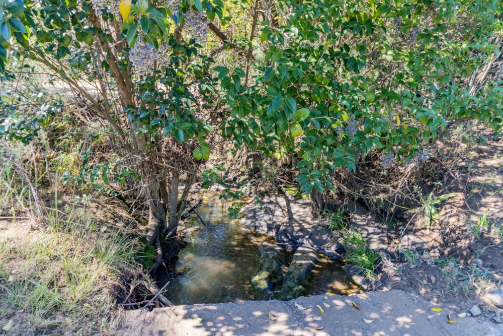 Mixed use farm sold in Skeerpoort - 1HR1656071 Mixed use farm sold in Skeerpoort - 1HR1656071