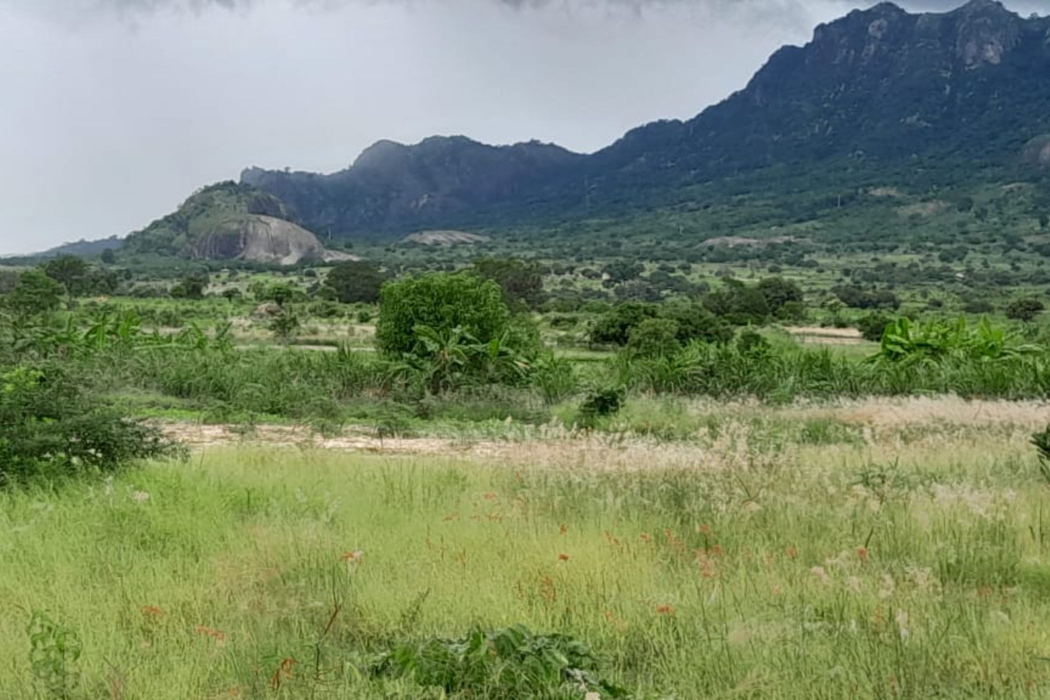 Farm vacant land for investment in Nampula, Nampula, Mozambique - 3MQ1656333