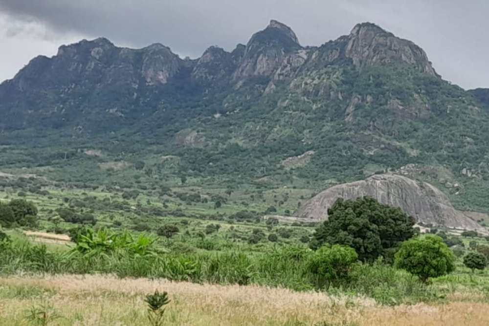 Farm vacant land for investment in Nampula, Nampula, Mozambique - 3MQ1656333