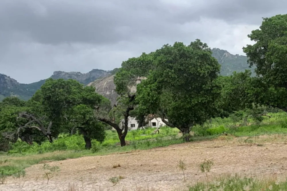 Farm vacant land for investment in Nampula, Nampula, Mozambique - 3MQ1656333