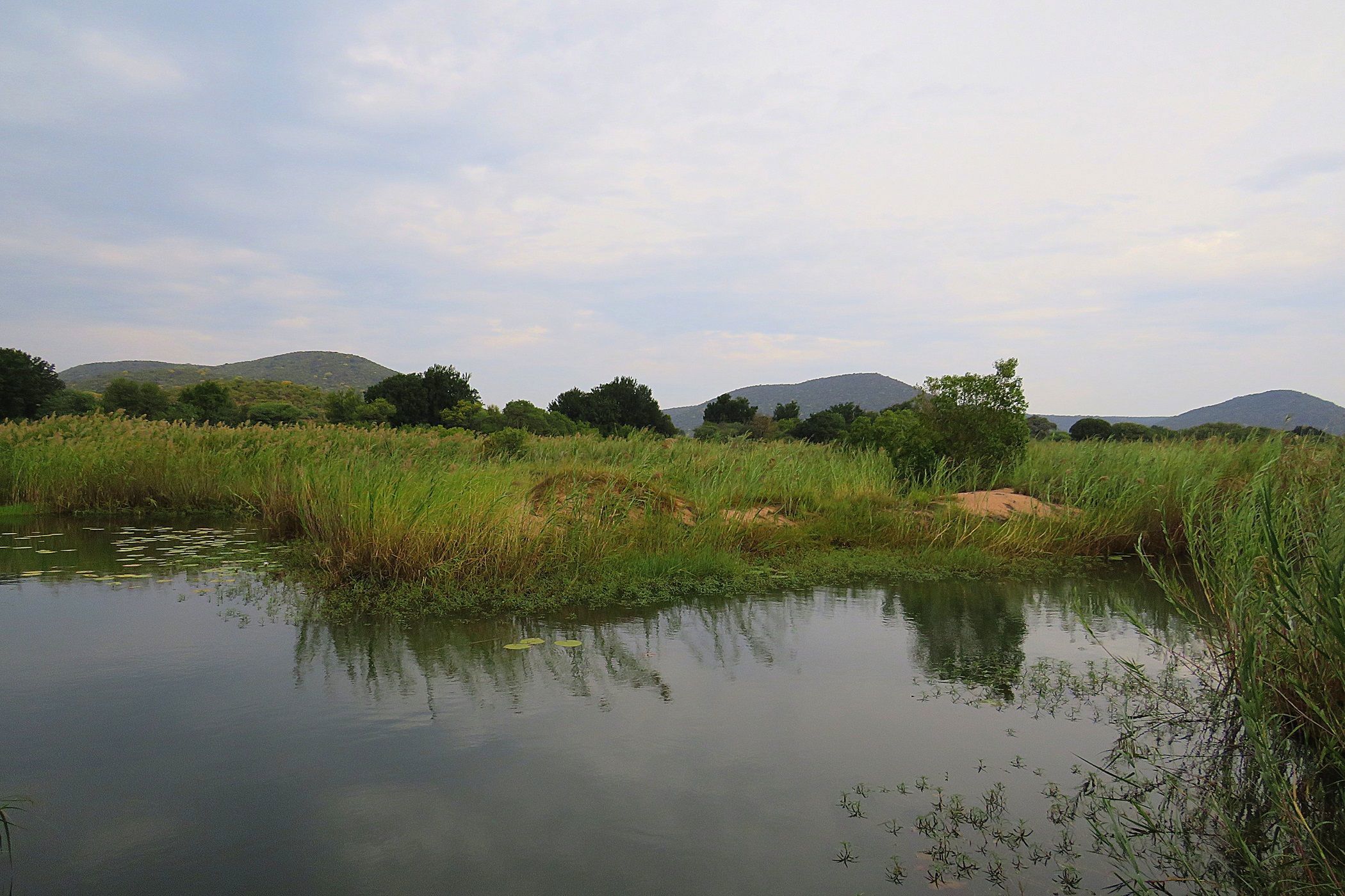 Smallholding for sale in Lephalale Rural - 1ER1608727