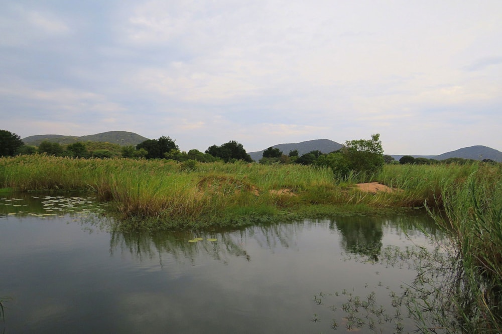 Smallholding for sale in Lephalale Rural - 1ER1608727 Smallholding for sale in Lephalale Rural - 1ER1608727