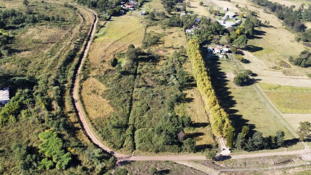 Farm vacant land sold in Manderston, Camperdown - 1PM1655180