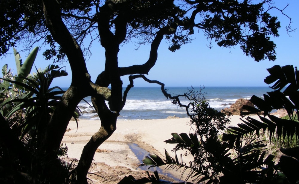 Residential vacant land for sale in Palm Beach - 1PD1654404 Residential vacant land for sale in Palm Beach - 1PD1654404