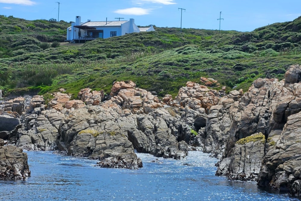 Smallholding sold in Cape St Francis - 1SA1654883 Smallholding sold in Cape St Francis - 1SA1654883