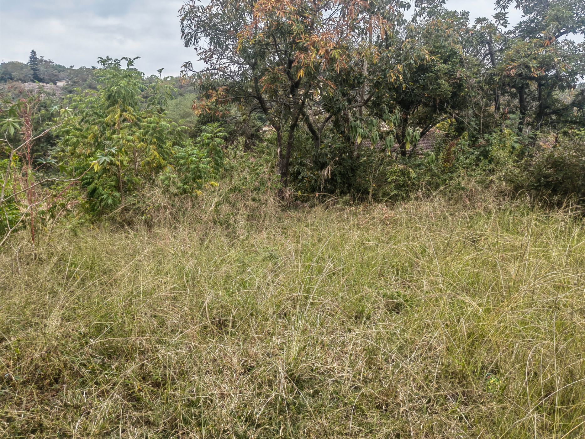 Residential vacant land for sale in Stonehenge - 1NS1658459