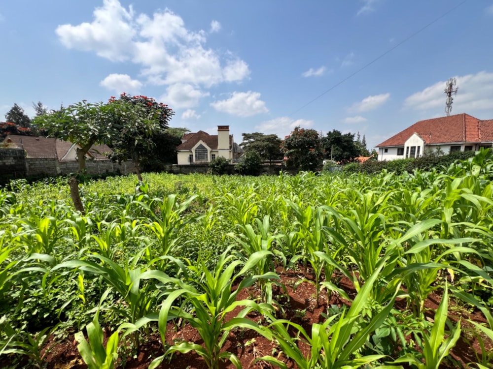 Vacant land sold in Runda , Kenya - 3KE1660236 Vacant land sold in Runda , Kenya - 3KE1660236