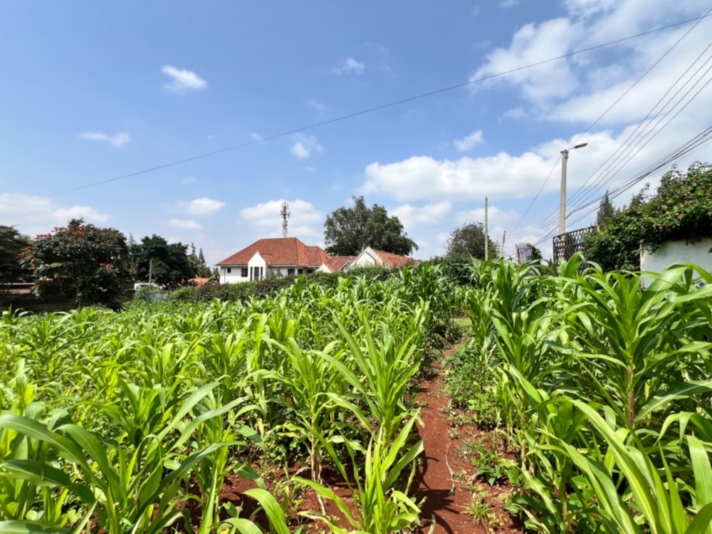 Vacant land sold in Runda , Kenya - 3KE1660236 Vacant land sold in Runda , Kenya - 3KE1660236