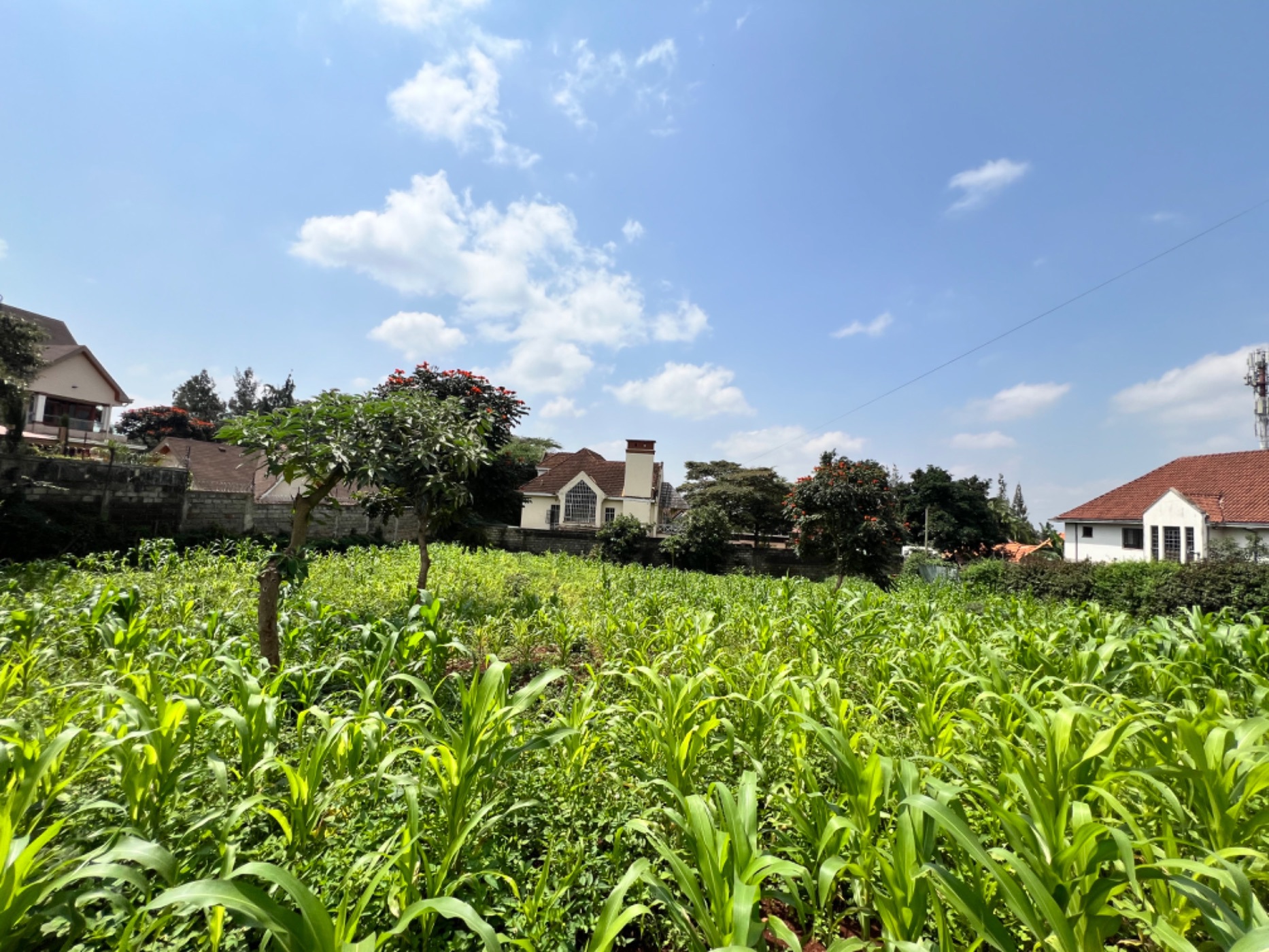 Vacant land sold in Runda , Kenya - 3KE1660236