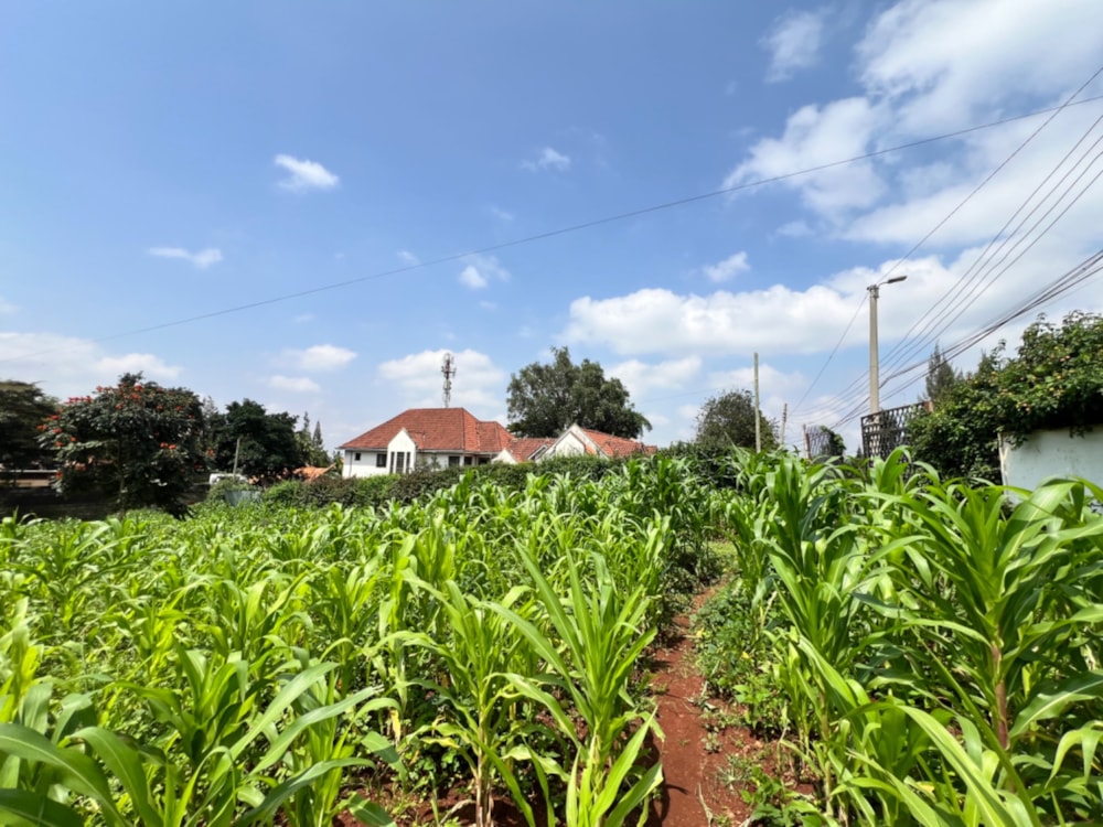 Vacant land sold in Runda , Kenya - 3KE1660236 Vacant land sold in Runda , Kenya - 3KE1660236