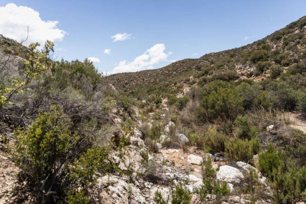 Game farm for sale in Uniondale - 1OU1651212 Game farm for sale in Uniondale - 1OU1651212