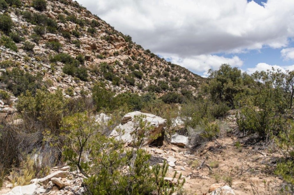 Game farm for sale in Uniondale - 1OU1651212 Game farm for sale in Uniondale - 1OU1651212