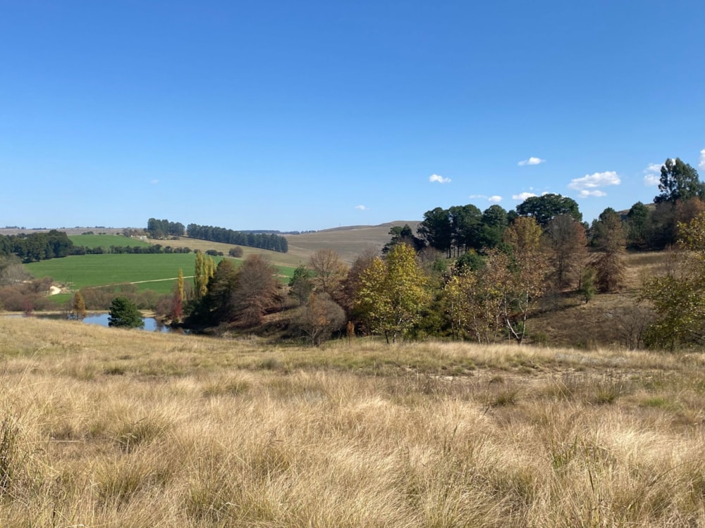 Vacant land for sale in Underberg - 1UB1658767