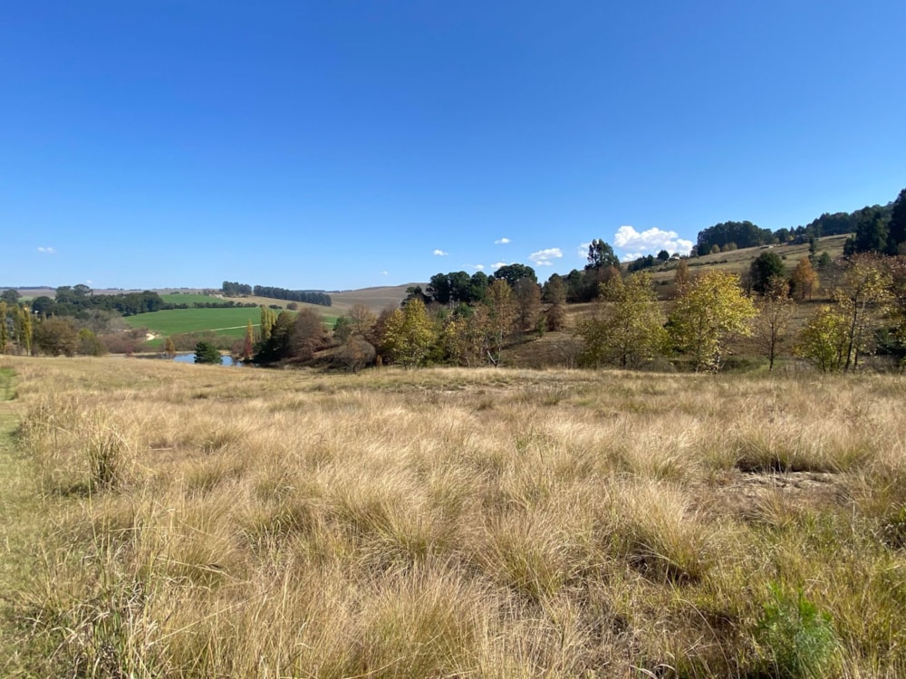 Vacant land for sale in Underberg - 1UB1658767