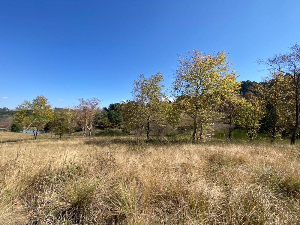 Vacant land for sale in Underberg - 1UB1658767