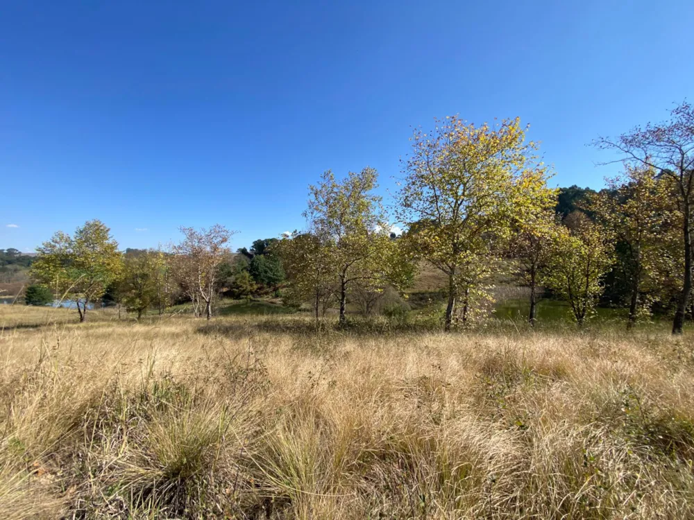 Vacant land for sale in Underberg - 1UB1658767 Vacant land for sale in Underberg - 1UB1658767
