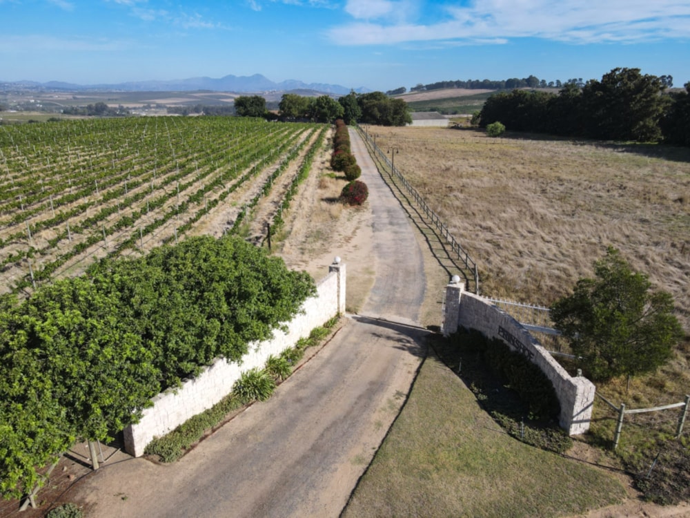Wine farm for sale in Stellenbosch Farms - ST1659473 Wine farm for sale in Stellenbosch Farms - ST1659473
