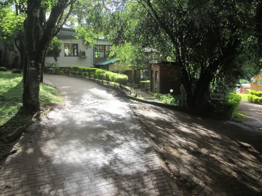 Guesthouse for sale in Makhado (Louis Trichardt) - 1PS1659730 Guesthouse for sale in Makhado (Louis Trichardt) - 1PS1659730